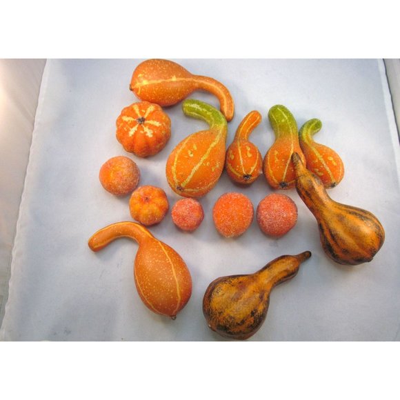 Variety of 14 Fall Decorative Artificial Pumpkins Squash Home Decor - Picture 12 of 12